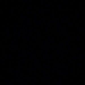 Searching for mk purse